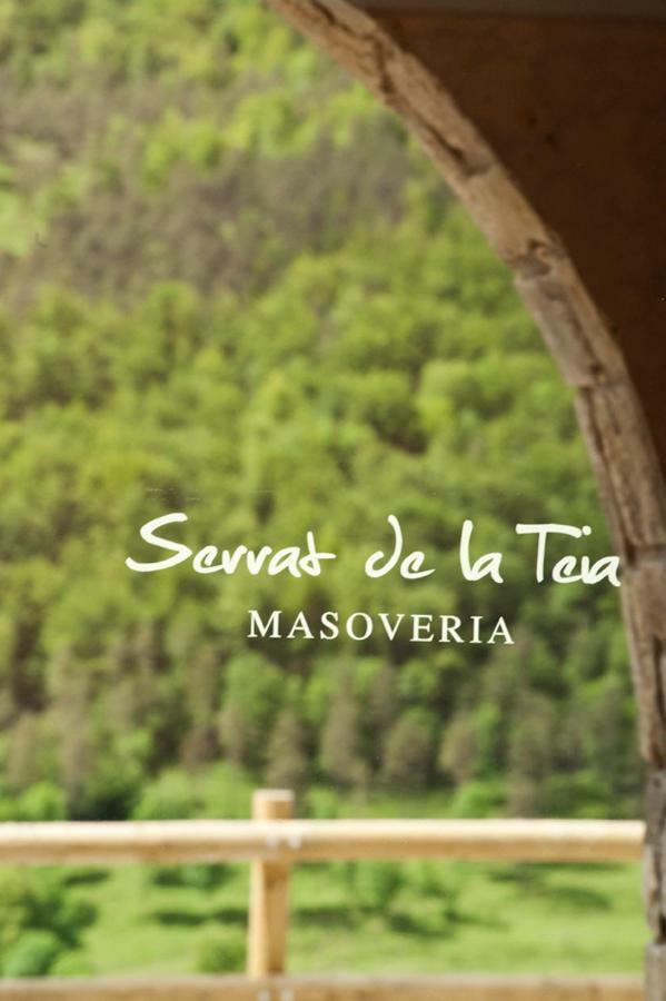 Mas Serrat De La Teia Sant Joan de les Abadesses Ngoại thất bức ảnh